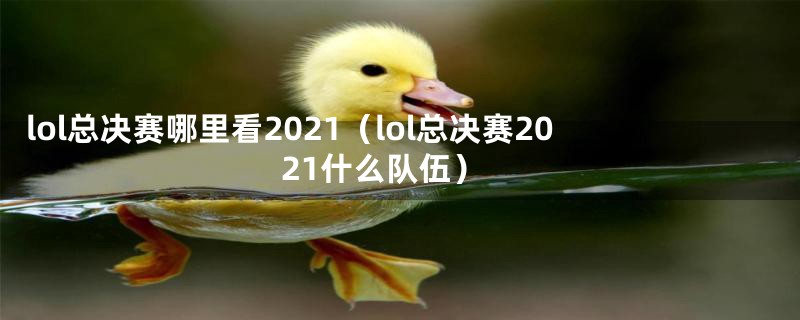 lol总决赛哪里看2021（lol总决赛2021什么队伍）