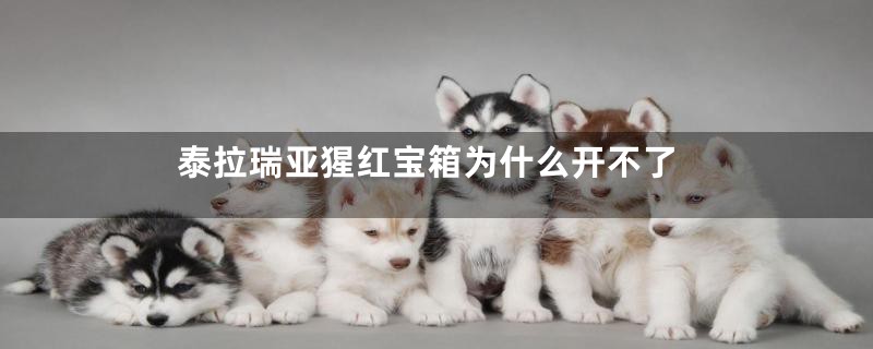 泰拉瑞亚猩红宝箱为什么开不了