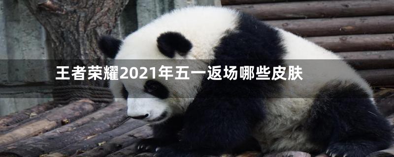 王者荣耀2021年五一返场哪些皮肤