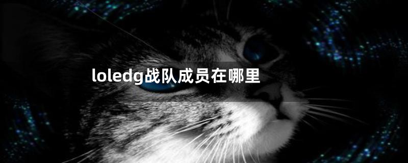 loledg战队成员在哪里