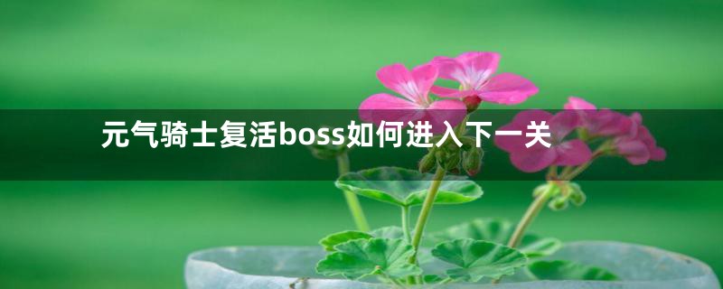 元气骑士复活boss如何进入下一关