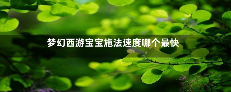 梦幻西游宝宝施法速度哪个最快