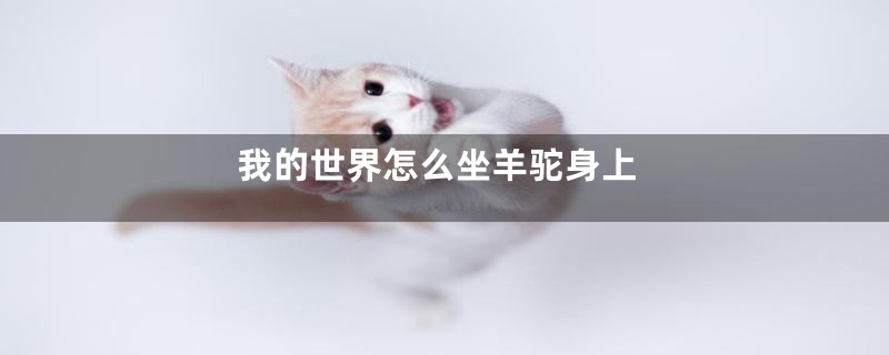 我的世界怎么坐羊驼身上