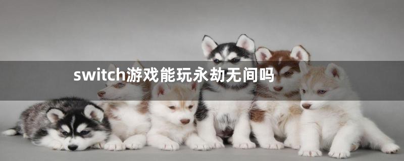 switch游戏能玩永劫无间吗