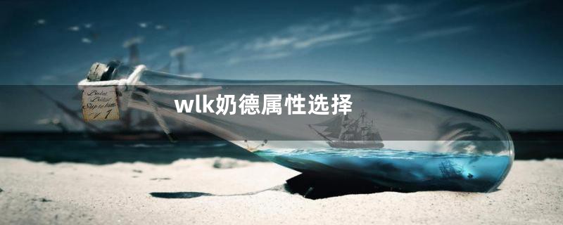 wlk奶德属性选择