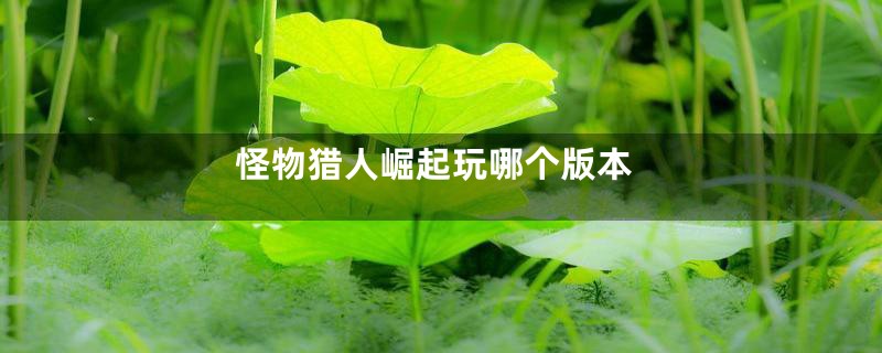 怪物猎人崛起玩哪个版本