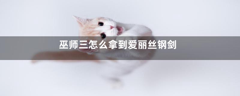 巫师三怎么拿到爱丽丝钢剑