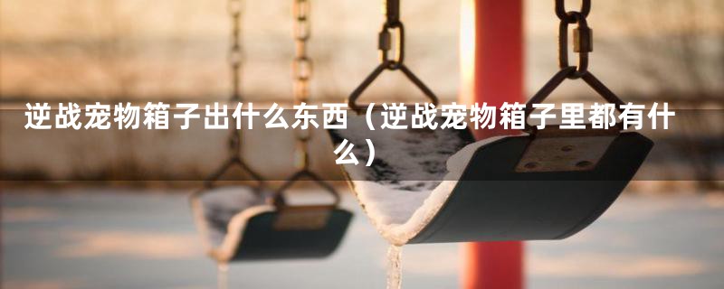 逆战宠物箱子出什么东西（逆战宠物箱子里都有什么）