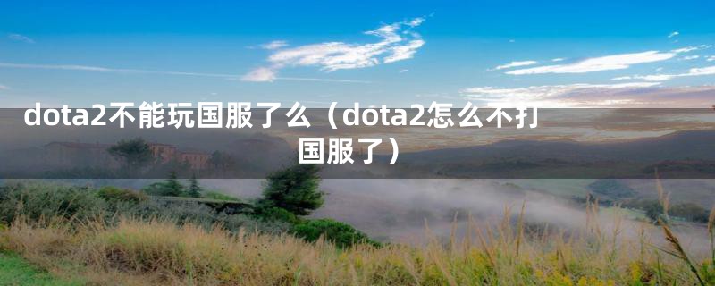 dota2不能玩国服了么（dota2怎么不打国服了）