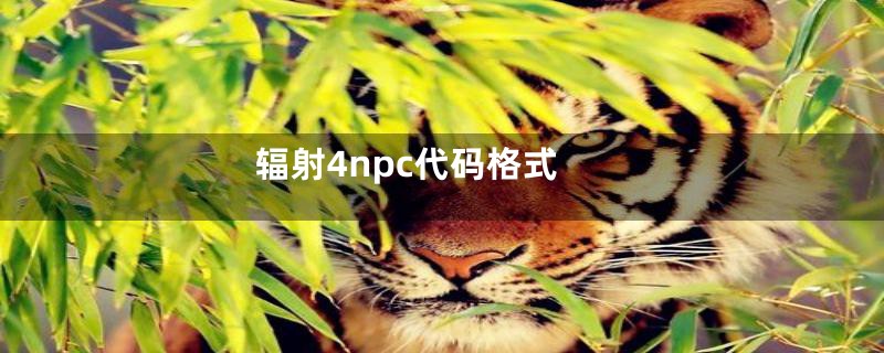 辐射4npc代码格式