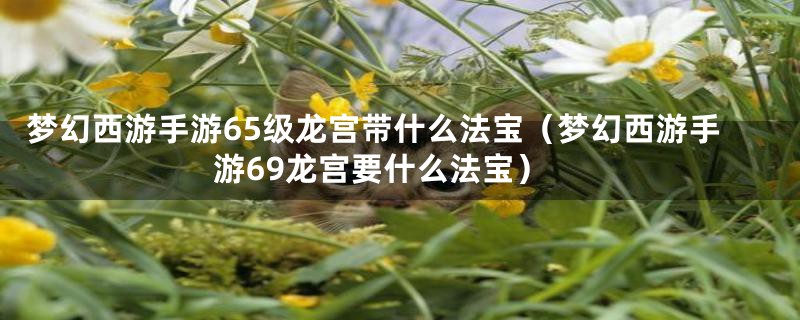 梦幻西游手游65级龙宫带什么法宝（梦幻西游手游69龙宫要什么法宝）