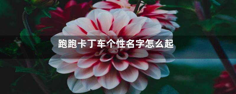 跑跑卡丁车个性名字怎么起