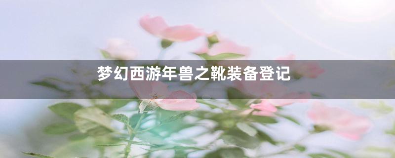 梦幻西游年兽之靴装备登记