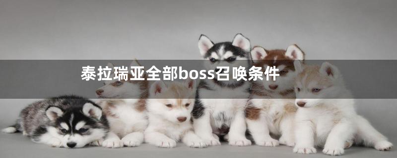 泰拉瑞亚全部boss召唤条件