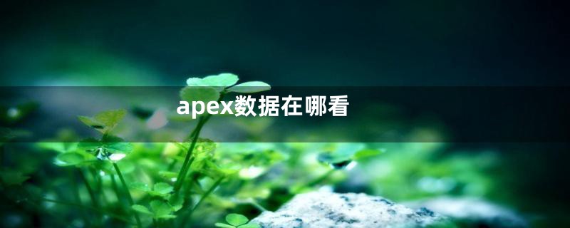 apex数据在哪看