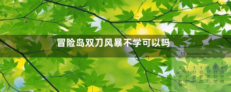 冒险岛双刀风暴不学可以吗