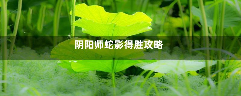 阴阳师蛇影得胜攻略