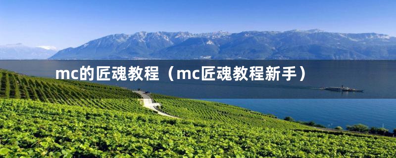 mc的匠魂教程（mc匠魂教程新手）