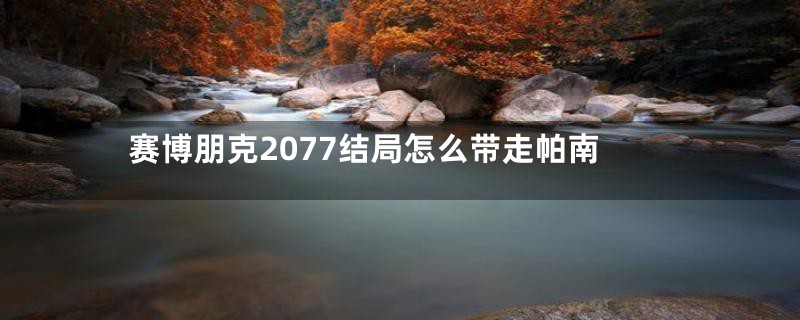 赛博朋克2077结局怎么带走帕南