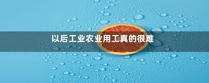 以后工业农业用工真的很难