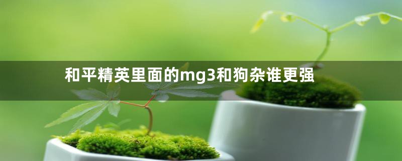 和平精英里面的mg3和狗杂谁更强