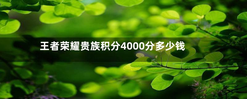 王者荣耀贵族积分4000分多少钱