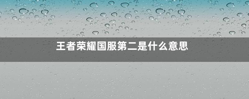 王者荣耀国服第二是什么意思