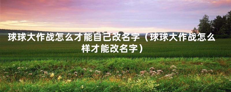 球球大作战怎么才能自己改名字（球球大作战怎么样才能改名字）