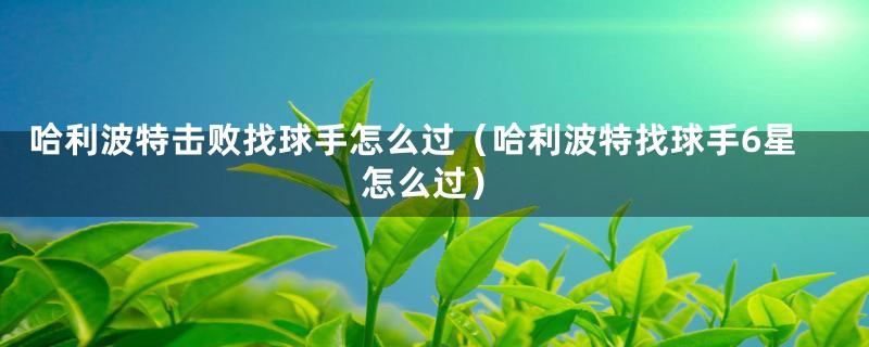 哈利波特击败找球手怎么过（哈利波特找球手6星怎么过）