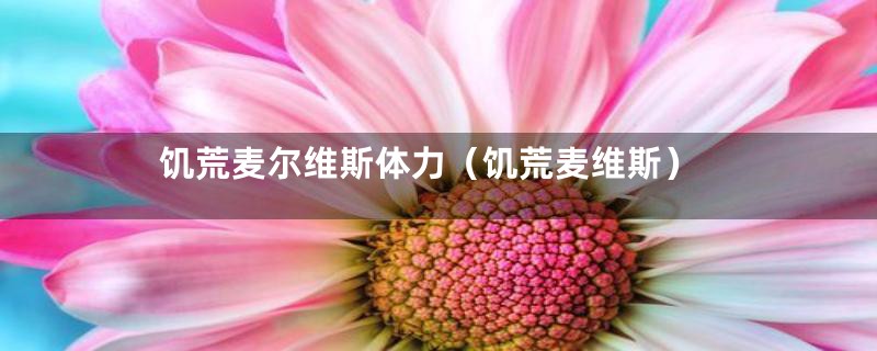 饥荒麦尔维斯体力（饥荒麦维斯）