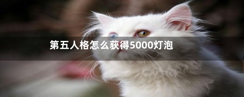 第五人格怎么获得5000灯泡