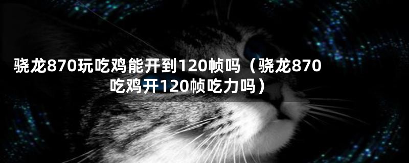 骁龙870玩吃鸡能开到120帧吗（骁龙870吃鸡开120帧吃力吗）