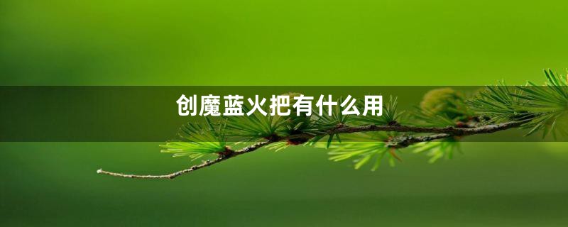 创魔蓝火把有什么用