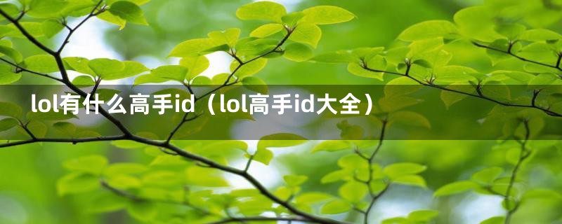 lol有什么高手id（lol高手id大全）