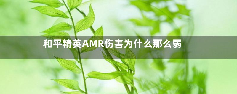 和平精英AMR伤害为什么那么弱