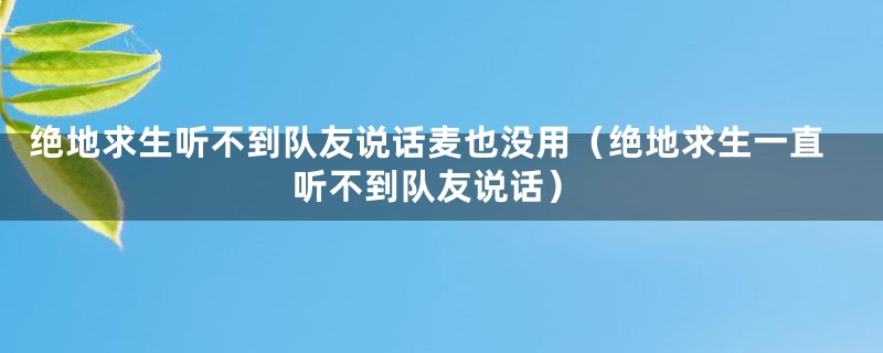 绝地求生听不到队友说话麦也没用（绝地求生一直听不到队友说话）