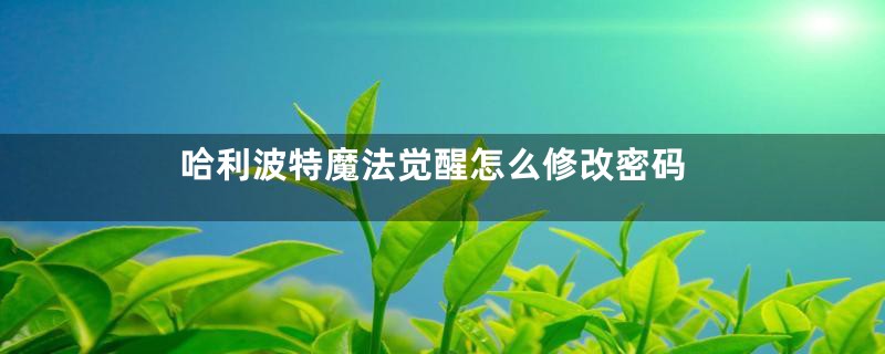 哈利波特魔法觉醒怎么修改密码