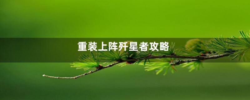 重装上阵歼星者攻略