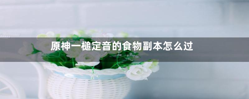 原神一槌定音的食物副本怎么过