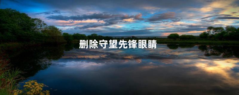 删除守望先锋眼睛