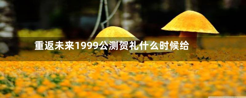 重返未来1999公测贺礼什么时候给