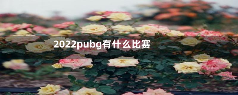 2022pubg有什么比赛