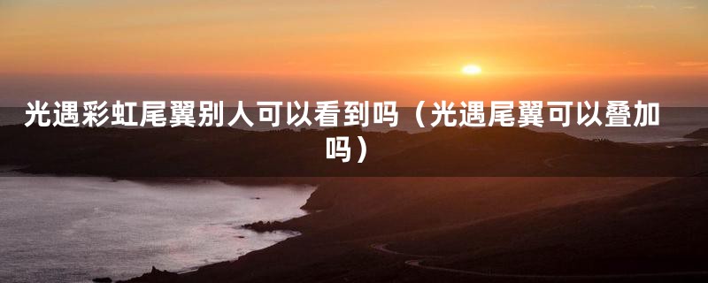 光遇彩虹尾翼别人可以看到吗（光遇尾翼可以叠加吗）