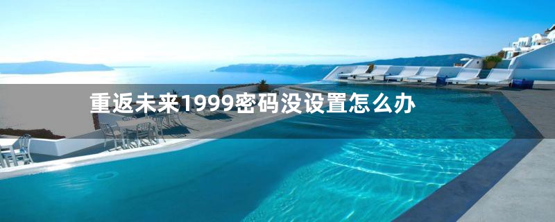 重返未来1999密码没设置怎么办