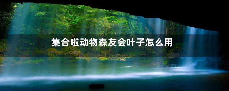 集合啦动物森友会叶子怎么用