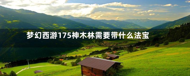 梦幻西游175神木林需要带什么法宝