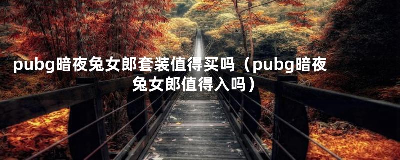 pubg暗夜兔女郎套装值得买吗（pubg暗夜兔女郎值得入吗）