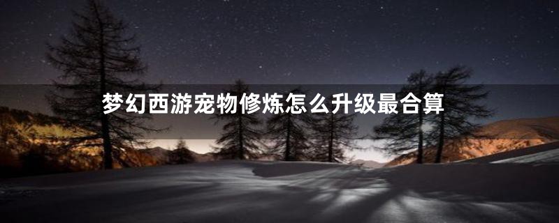 梦幻西游宠物修炼怎么升级最合算