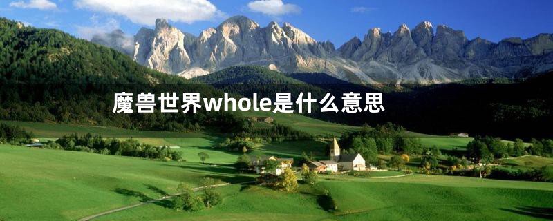 魔兽世界whole是什么意思