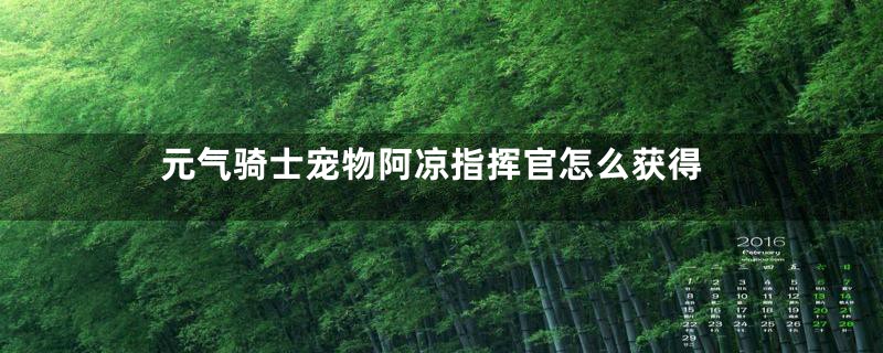 元气骑士宠物阿凉指挥官怎么获得